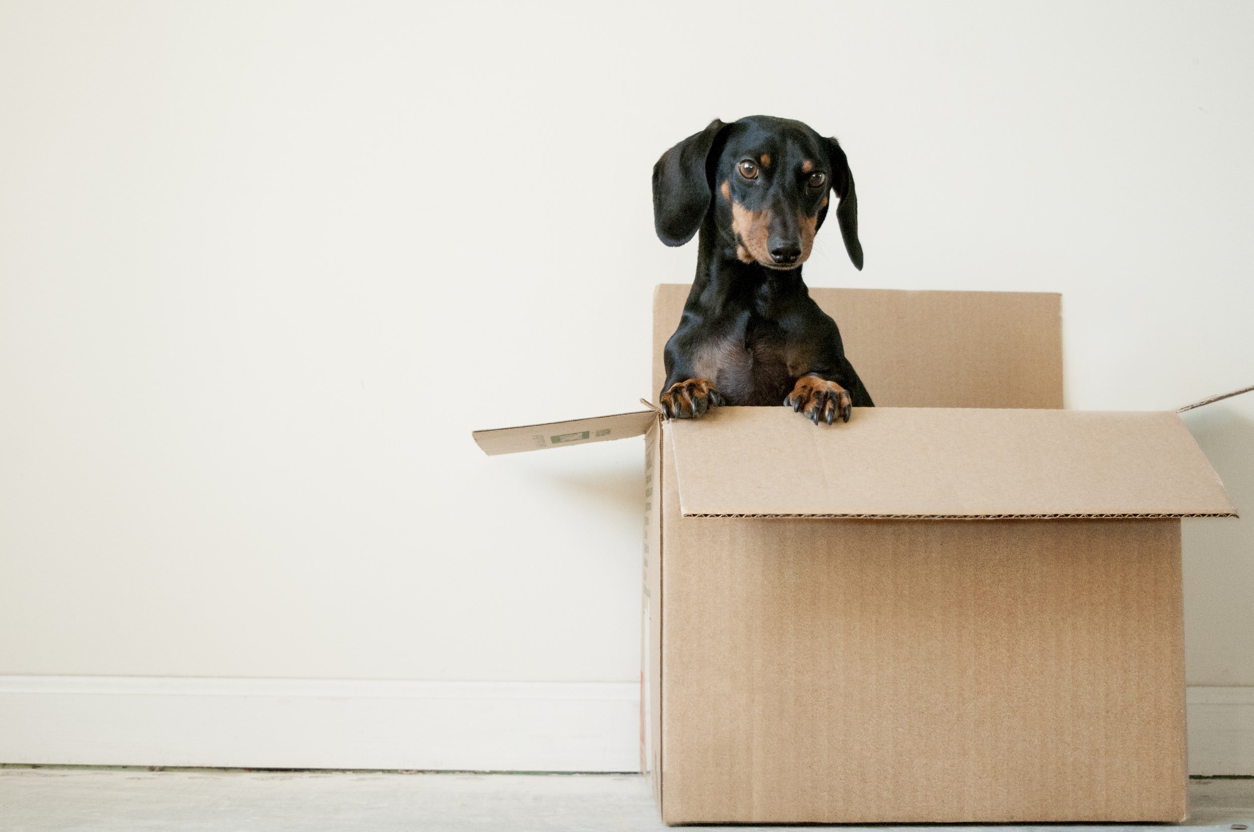The Young Lawyer Moving Checklist